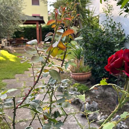 La Casa Di Gemma B&B Villa Vomano エクステリア 写真