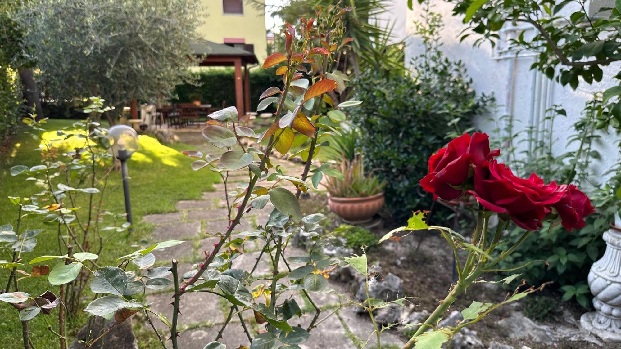 La Casa Di Gemma B&B Villa Vomano エクステリア 写真